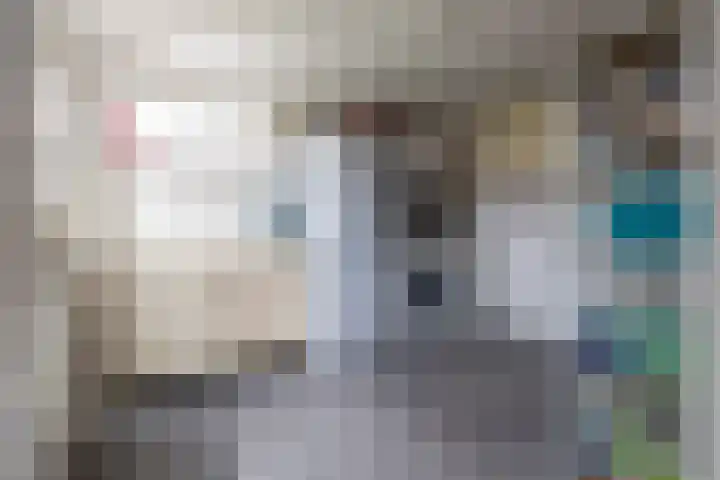 Master fan Loanstrjitte 14 Mitselwier thumbnail 17