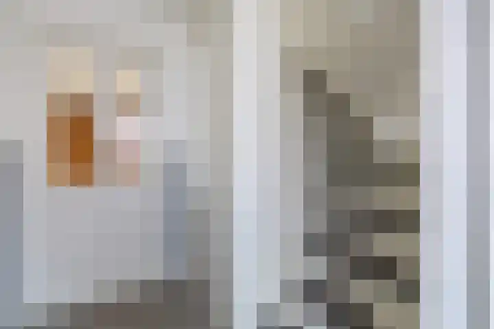 Master fan Loanstrjitte 14 Mitselwier thumbnail 21