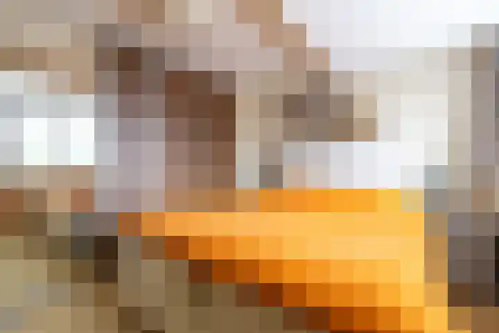 Master fan Loanstrjitte 14 Mitselwier thumbnail 24