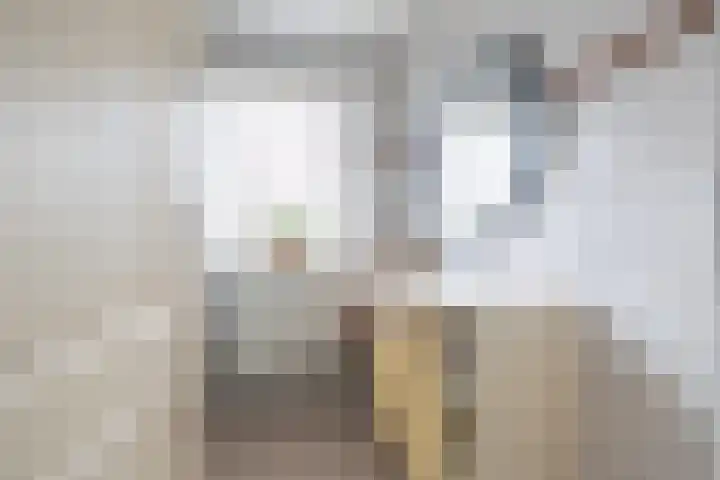 Master fan Loanstrjitte 14 Mitselwier thumbnail 25