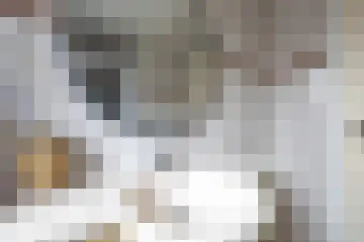 Master fan Loanstrjitte 14 Mitselwier thumbnail 27