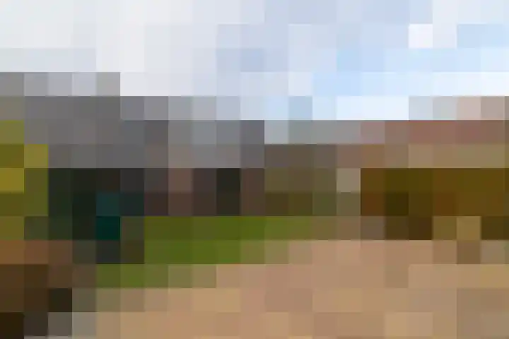 Master fan Loanstrjitte 14 Mitselwier foto 3