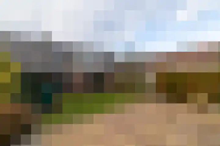 Master fan Loanstrjitte 14 Mitselwier thumbnail 33