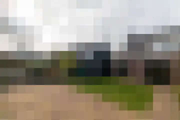 Master fan Loanstrjitte 14 Mitselwier thumbnail 34