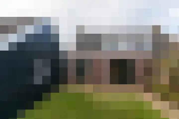 Master fan Loanstrjitte 14 Mitselwier thumbnail 35