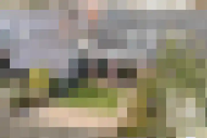 Master fan Loanstrjitte 14 Mitselwier thumbnail 37