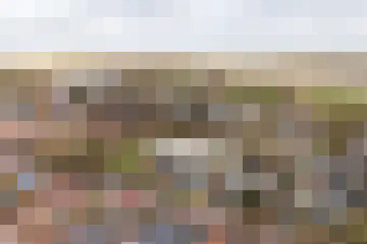 Master fan Loanstrjitte 14 Mitselwier thumbnail 39