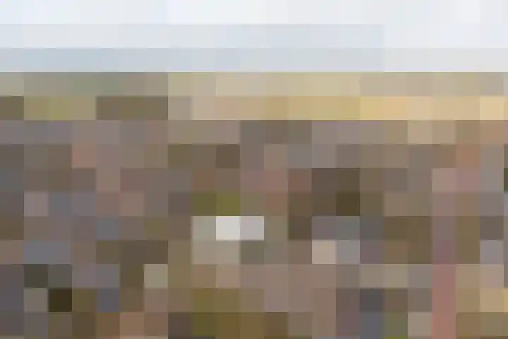 Master fan Loanstrjitte 14 Mitselwier thumbnail 40