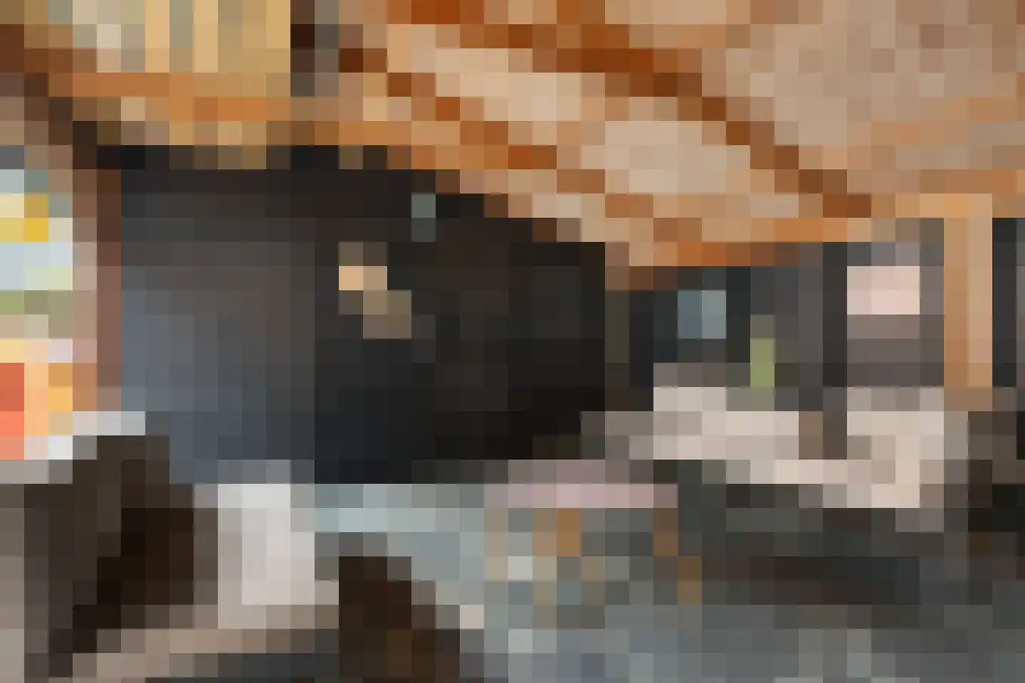 Master fan Loanstrjitte 23 Mitselwier thumbnail 14