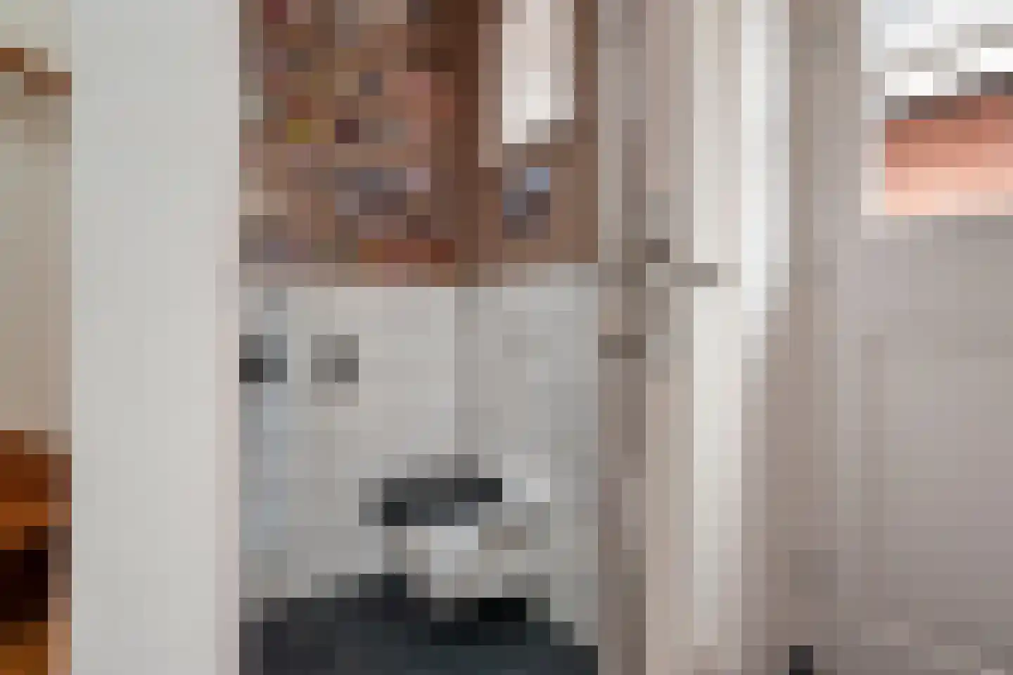 Master fan Loanstrjitte 23 Mitselwier thumbnail 16