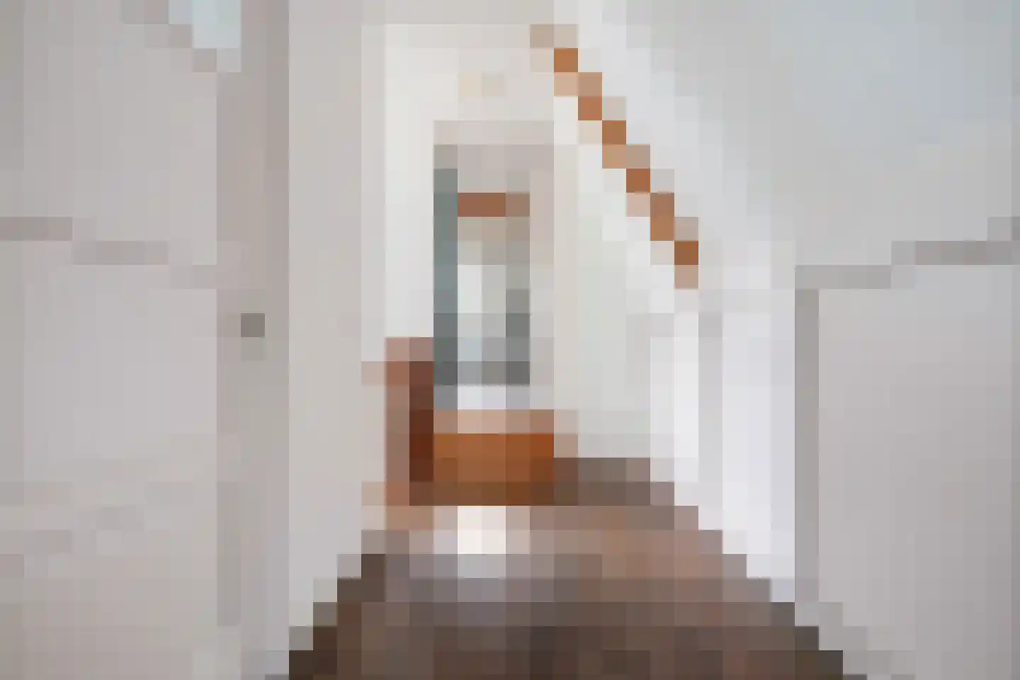 Master fan Loanstrjitte 23 Mitselwier thumbnail 17