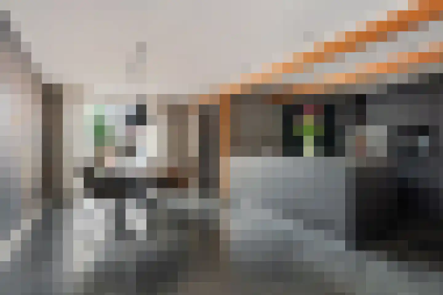 Master fan Loanstrjitte 23 Mitselwier foto 2