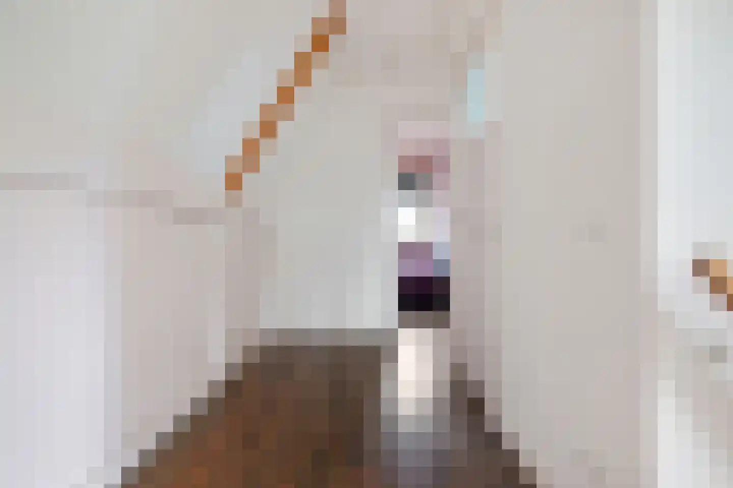 Master fan Loanstrjitte 23 Mitselwier thumbnail 21