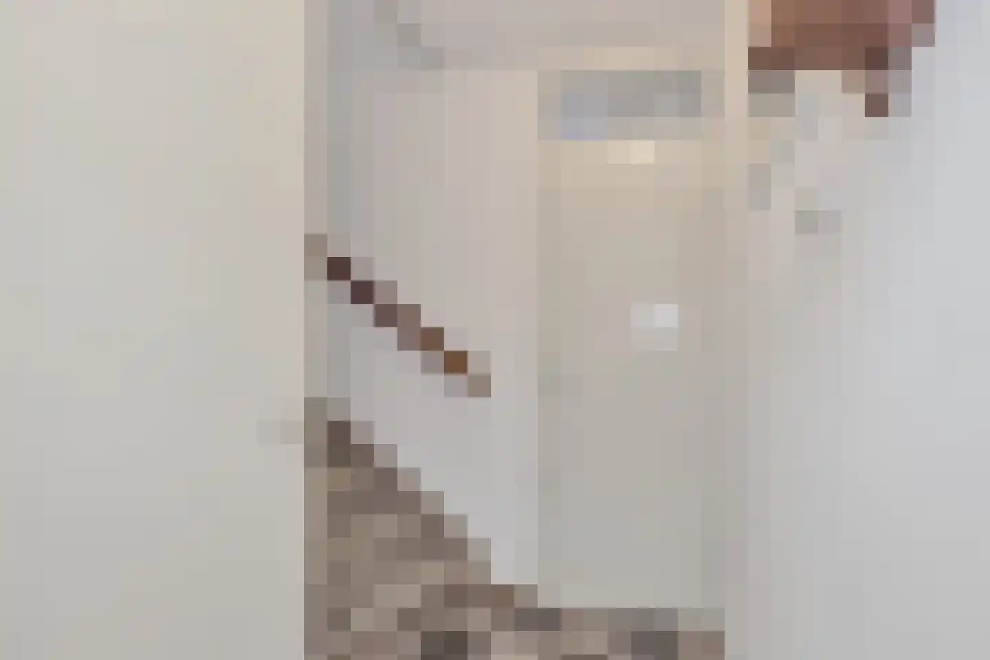 Master fan Loanstrjitte 26 Mitselwier thumbnail 11