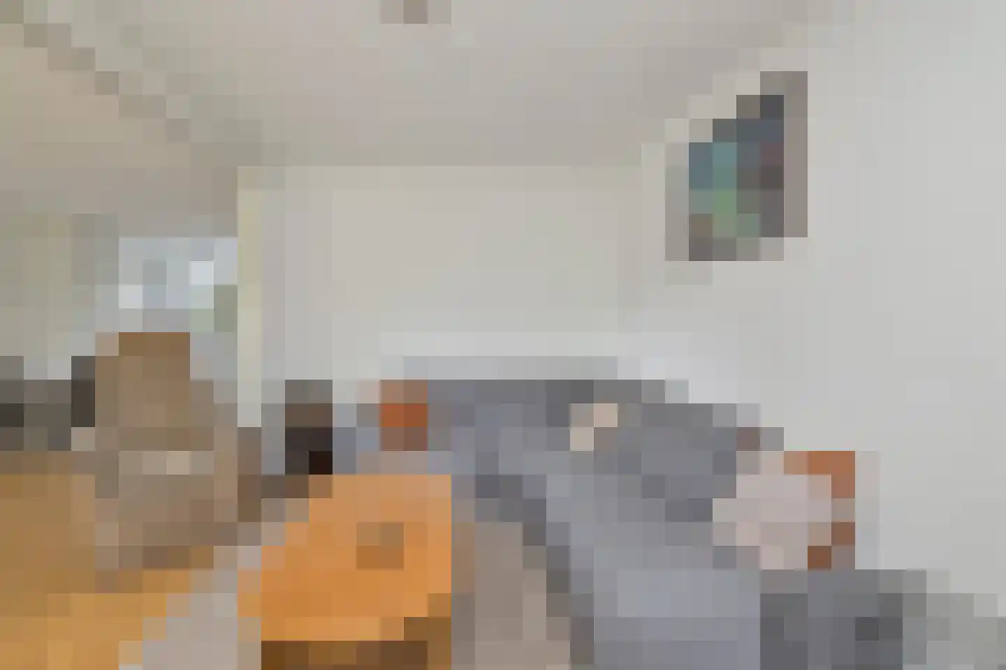 Master fan Loanstrjitte 26 Mitselwier thumbnail 14