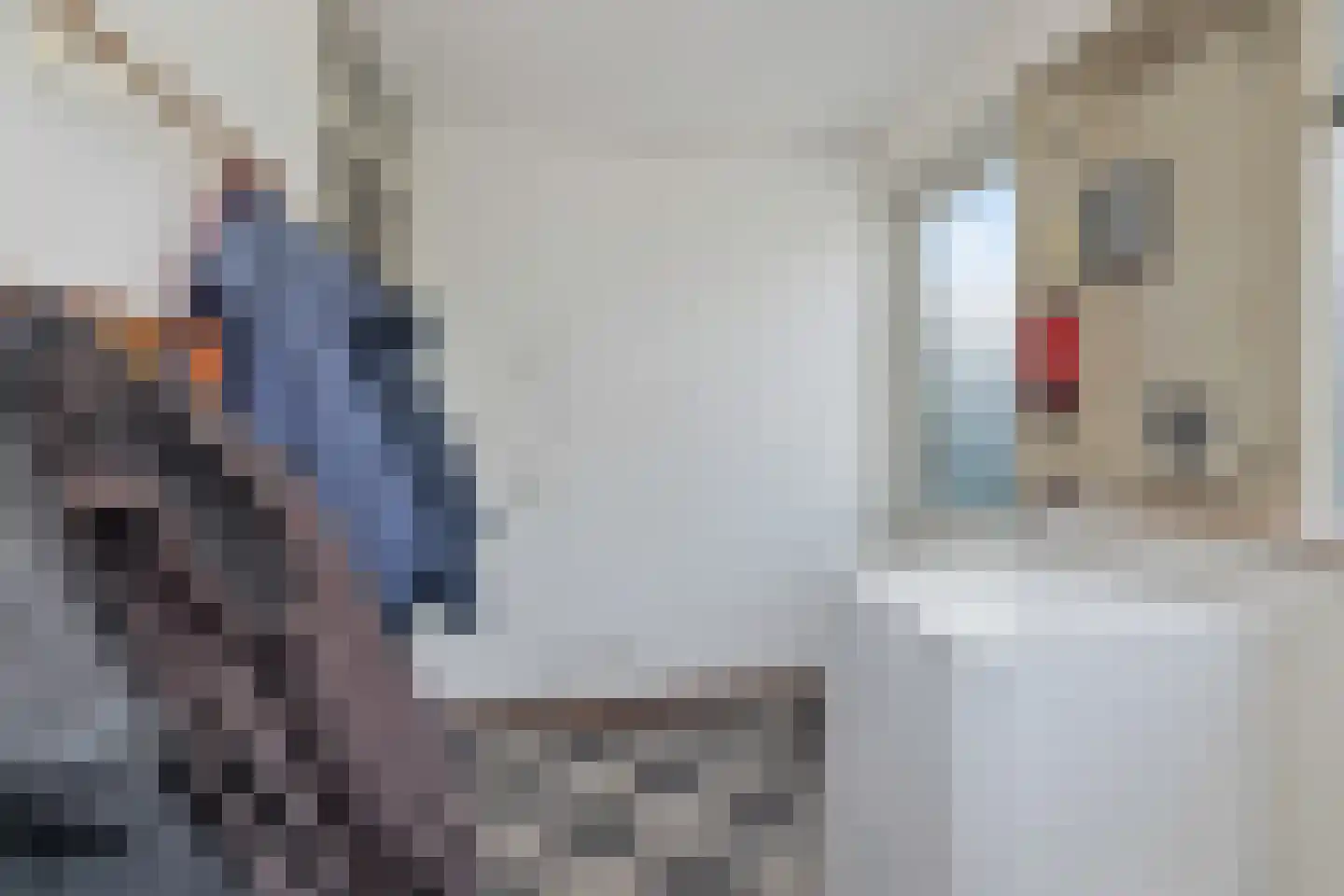 Master fan Loanstrjitte 26 Mitselwier thumbnail 21