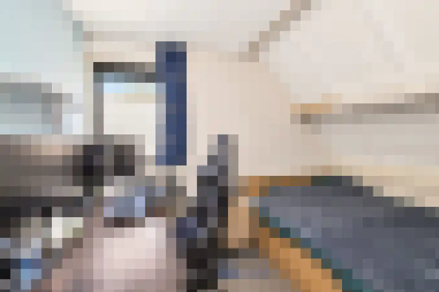Master fan Loanstrjitte 26 Mitselwier thumbnail 28