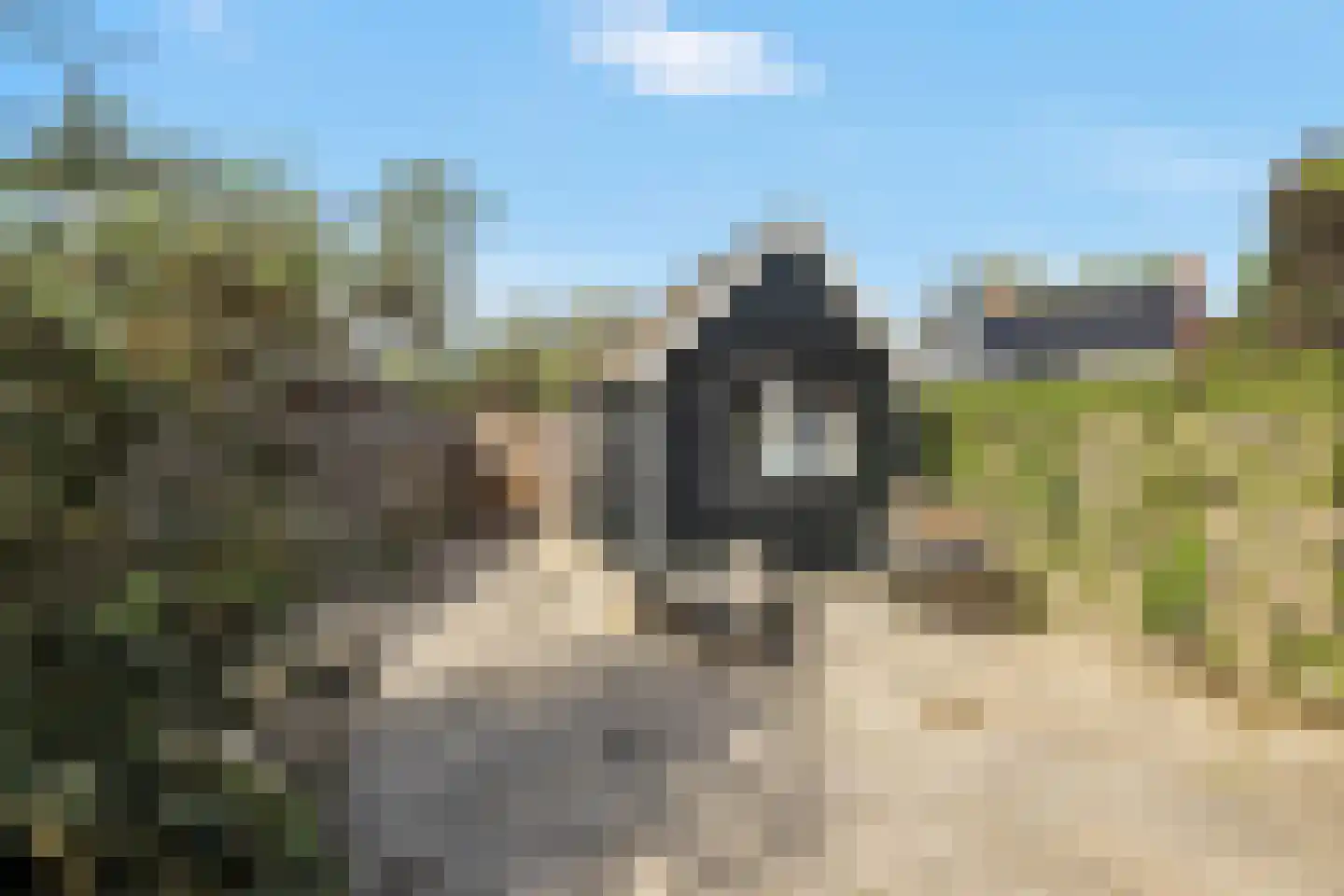 Master fan Loanstrjitte 26 Mitselwier thumbnail 31