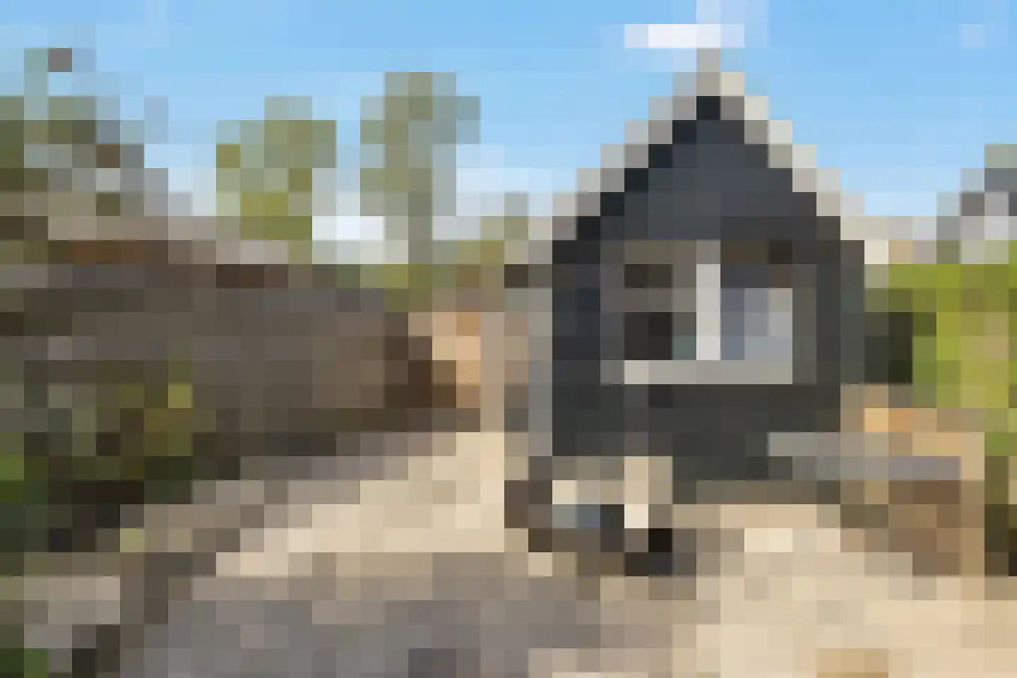 Master fan Loanstrjitte 26 Mitselwier thumbnail 32