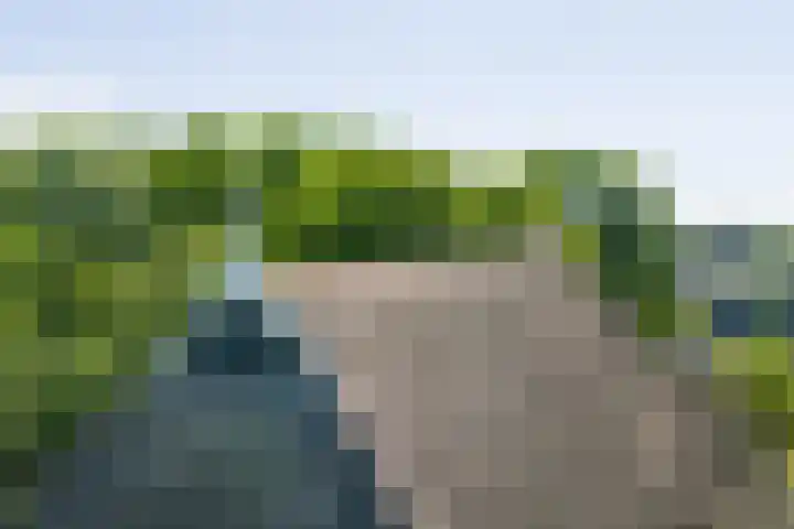Master fan Loanstrjitte 31 Mitselwier thumbnail 10