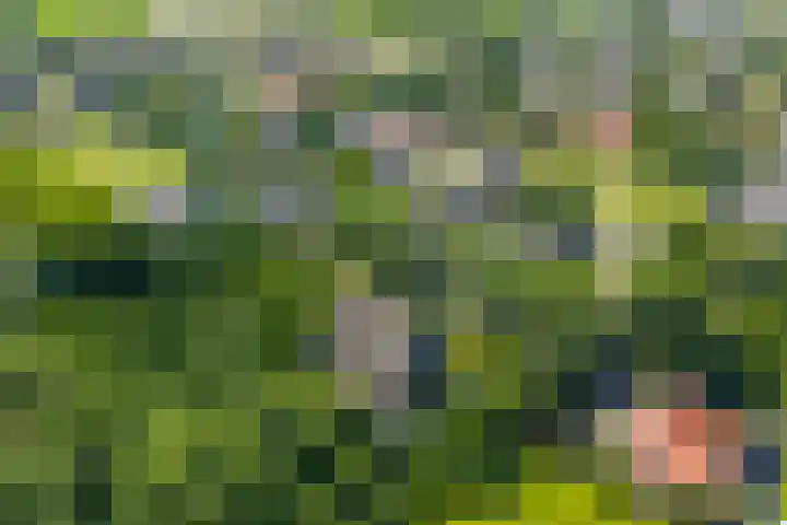 Master fan Loanstrjitte 31 Mitselwier thumbnail 11