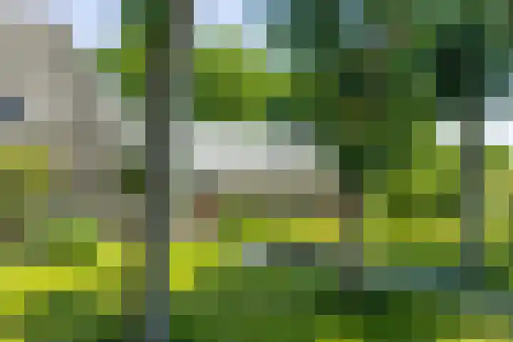 Master fan Loanstrjitte 31 Mitselwier thumbnail 12