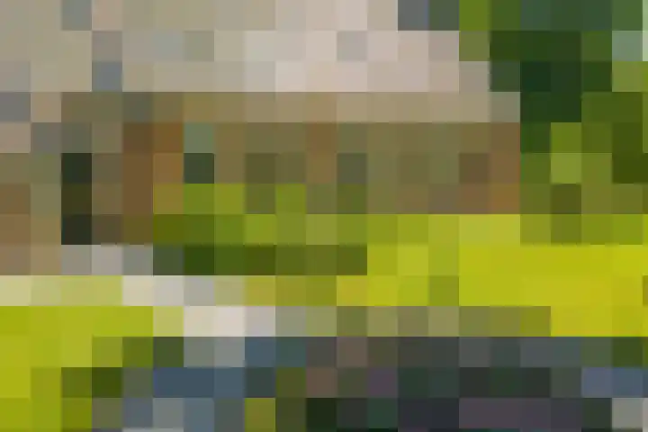 Master fan Loanstrjitte 31 Mitselwier thumbnail 14