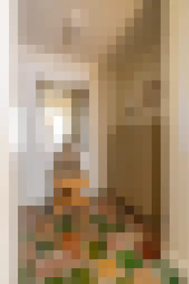 Master fan Loanstrjitte 31 Mitselwier thumbnail 15