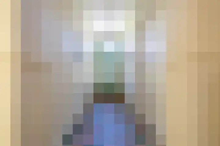Master fan Loanstrjitte 31 Mitselwier thumbnail 16