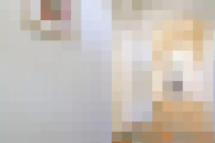 Master fan Loanstrjitte 31 Mitselwier thumbnail 17