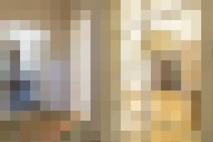 Master fan Loanstrjitte 31 Mitselwier thumbnail 18