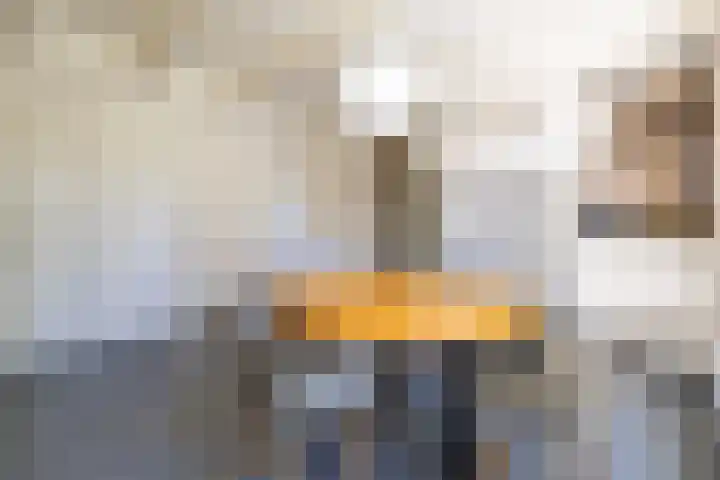 Master fan Loanstrjitte 31 Mitselwier thumbnail 19