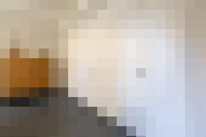 Master fan Loanstrjitte 31 Mitselwier thumbnail 20