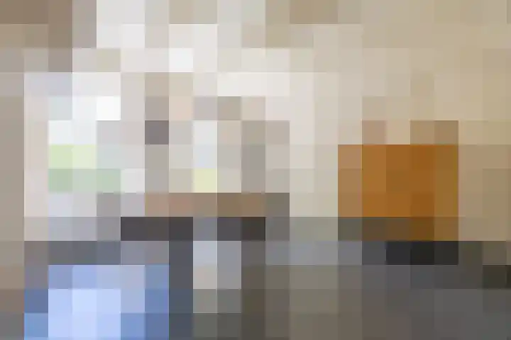 Master fan Loanstrjitte 31 Mitselwier thumbnail 21
