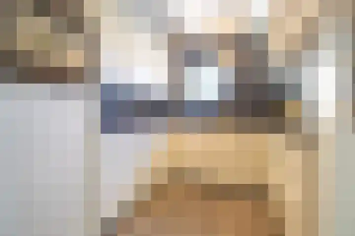 Master fan Loanstrjitte 31 Mitselwier thumbnail 23