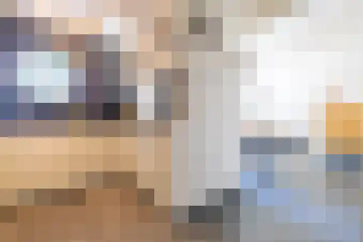 Master fan Loanstrjitte 31 Mitselwier thumbnail 24