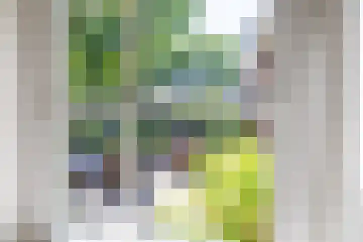 Master fan Loanstrjitte 31 Mitselwier thumbnail 25