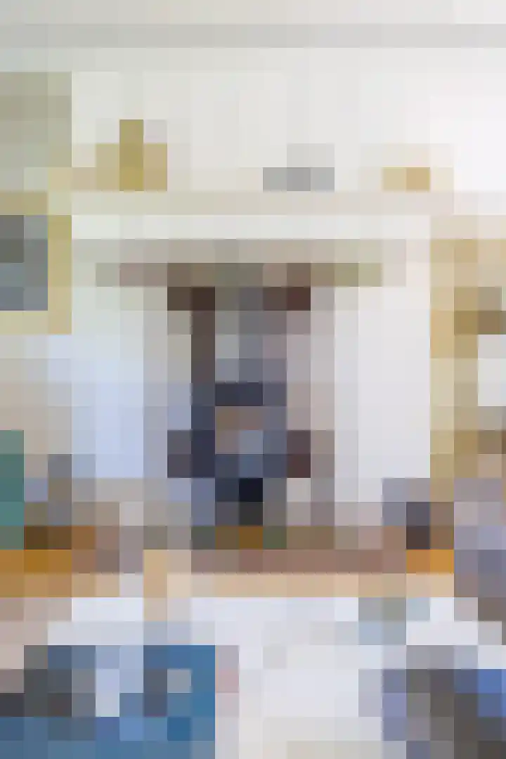 Master fan Loanstrjitte 31 Mitselwier thumbnail 31