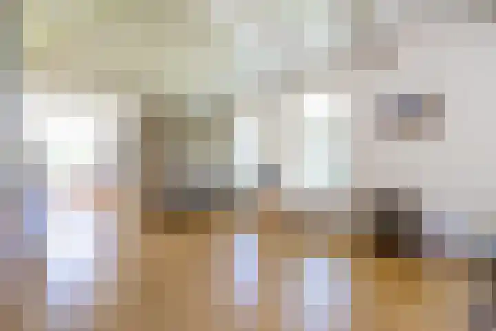Master fan Loanstrjitte 31 Mitselwier thumbnail 33