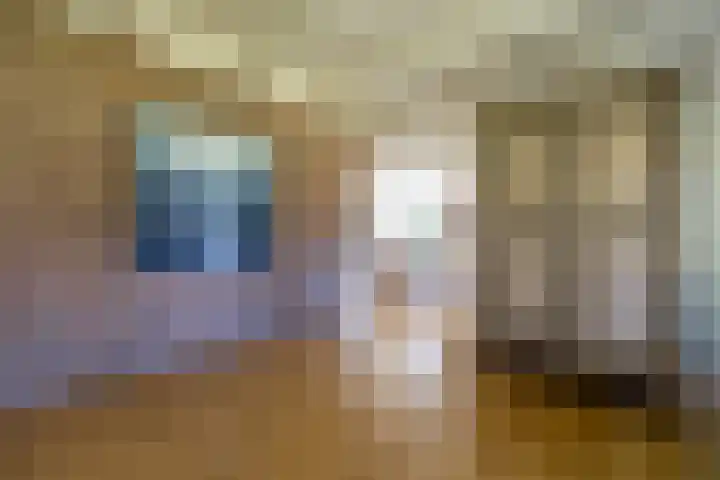 Master fan Loanstrjitte 31 Mitselwier thumbnail 34