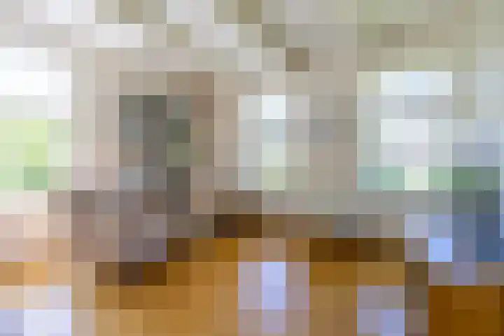 Master fan Loanstrjitte 31 Mitselwier thumbnail 35