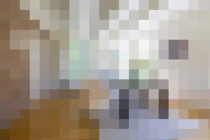 Master fan Loanstrjitte 31 Mitselwier thumbnail 36