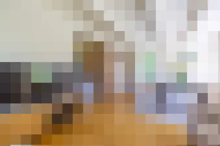 Master fan Loanstrjitte 31 Mitselwier thumbnail 37