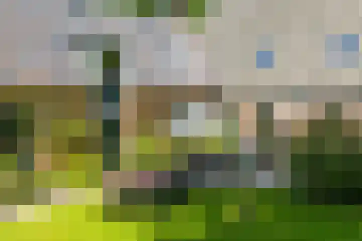 Master fan Loanstrjitte 31 Mitselwier thumbnail 4