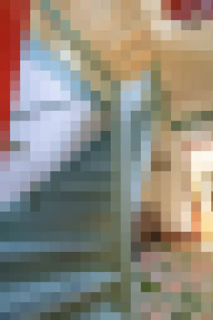 Master fan Loanstrjitte 31 Mitselwier thumbnail 41