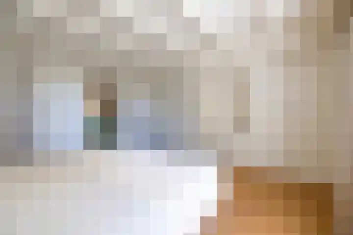Master fan Loanstrjitte 31 Mitselwier thumbnail 45