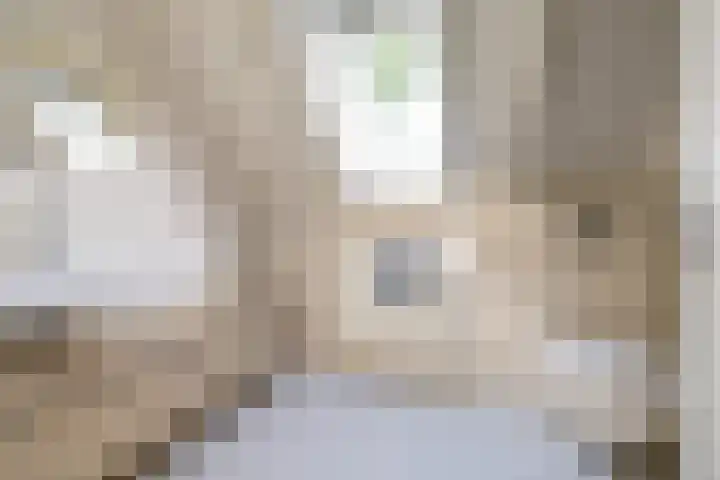 Master fan Loanstrjitte 31 Mitselwier thumbnail 46