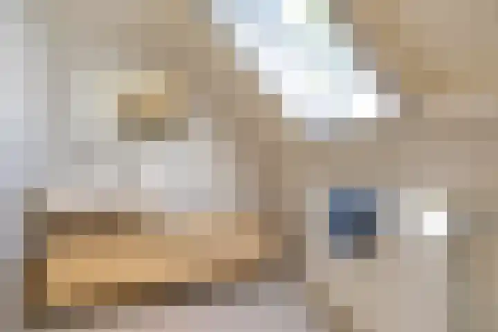 Master fan Loanstrjitte 31 Mitselwier thumbnail 48