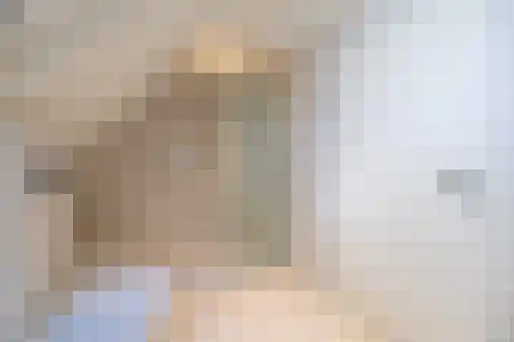 Master fan Loanstrjitte 31 Mitselwier thumbnail 49