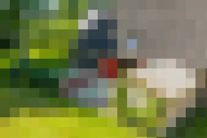 Master fan Loanstrjitte 31 Mitselwier thumbnail 5